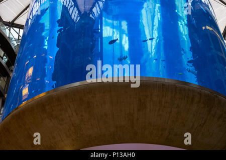 Berlin, Deutschland - 5. April 2017: Aquarium im Radisson Hotel Sea Life in Berlin Stockfoto