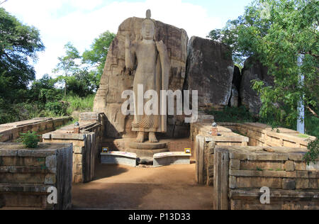 Aukana standing Buddha Statuen des Buddha in der Nähe von kekirawa im Norden Sri Lanka Stockfoto