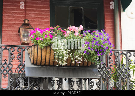 Eine bunte Blumenkasten auf dem Balkon im Französischen Viertel in New Orleans, Louisiana. Stockfoto