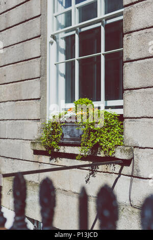 DUBLIN, Irland - 23. Mai 2018: Detail der traditionellen Georgianischen Architektur im Stadtzentrum von DUblin Stockfoto