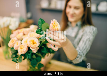 Weibliche Blumenhändler in Schürze bringt frische Rosen in einer Vase in Blumenladen, Blumen Business Konzept Stockfoto