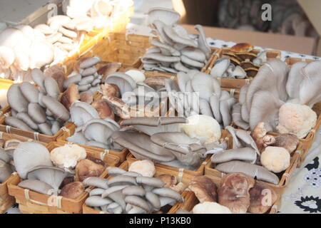 Die Pilze aus der Farmers Market Stockfoto