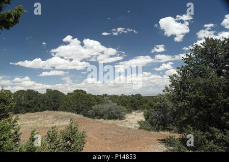 Landschaft mit Sträuchern blauer Himmel und Wolken mit Blick auf die hohen Wüste von Tijeras New Mexico Stockfoto
