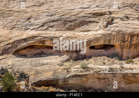 Nahaufnahme der Ancestral Puebloan Cliff dwellings entlang der Butler Wash von Bären Ohren National Monument im Südosten, Utah Stockfoto