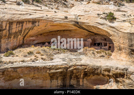 Ancestral Puebloan Cliff dwellings entlang der Butler Wash von Bären Ohren National Monument im Südosten, Utah Stockfoto