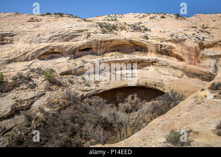 Ancestral Puebloan Cliff dwellings entlang der Butler Wash von Bären Ohren National Monument im Südosten, Utah Stockfoto