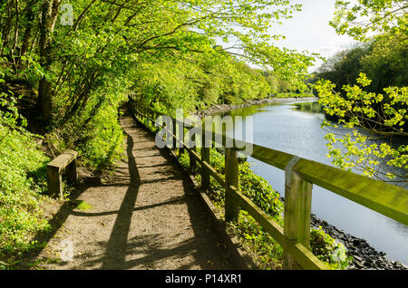 Riverside Weg entlang der Ufer des Flusses Verschleiß an Coxgreen Stockfoto