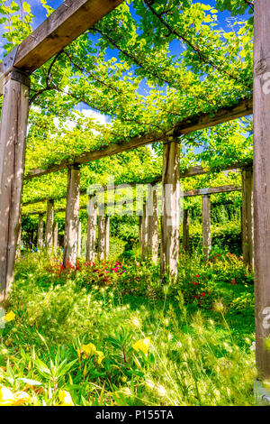 Der Parc de Bercy ist ein großer und abwechslungsreicher Park in Paris, Frankreich Stockfoto