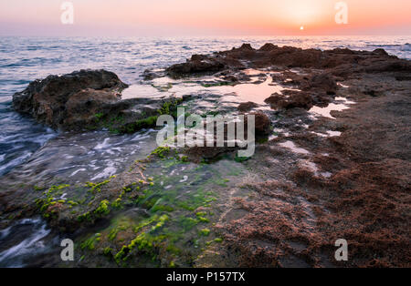 Sonnenuntergang in einer felsigen Strand voller Abschaum. Palmahim Strand, Israel Stockfoto