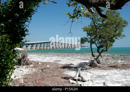 Eine lange Brücke überspannt das Wasser in Florida Anschließen der Tasten Stockfoto