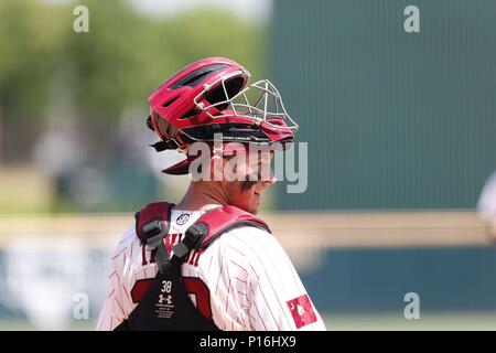 10.Juni 2018: Hunter Taylor #38 Kampfhähne Catcher blickt in die für einen Anruf gegraben. South Carolina besiegte Arkansas 8-5 in der NCAA regionalen am Baum Stadion in Fayetteville, AR, Richey Miller/CSM Stockfoto