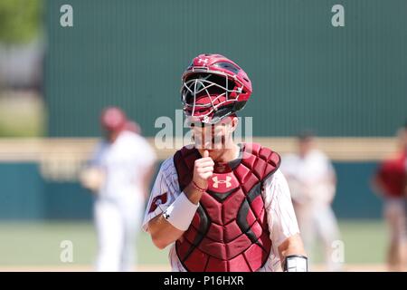 10.Juni 2018: South Carolina catcher Hunter Taylor #38 macht sich auf den Weg zurück hinter die Platte. South Carolina besiegte Arkansas 8-5 in der NCAA regionalen am Baum Stadion in Fayetteville, AR, Richey Miller/CSM Stockfoto