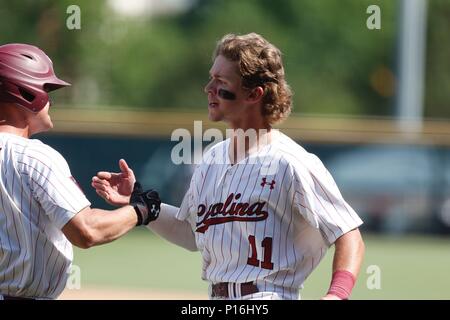 10.Juni 2018: South Carolina kurzer Stop LT Tolbert #11 beglückwünscht Justin Zeile #3 nach einem Hit. South Carolina besiegte Arkansas 8-5 in der NCAA regionalen am Baum Stadion in Fayetteville, AR, Richey Miller/CSM Stockfoto