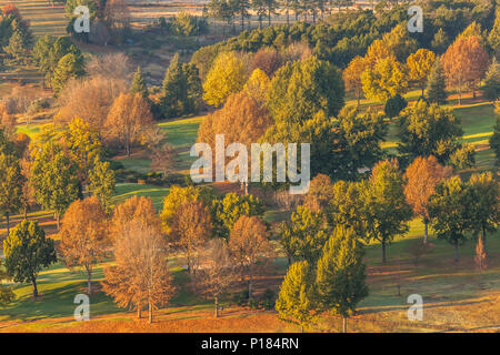 Am frühen Morgen Herbst Farben über lookings Bäume Landschaft. Stockfoto