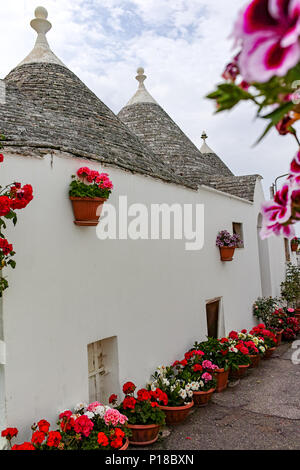 Einzigartige kleine Süd Italia Stadt Alberobello mit antient Steine konische Häuser Trullo, Reiseziel, Region Apulien in der Nähe von Bari Stockfoto