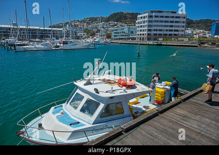 Angeln Boot verkaufen Fische, Chaffers Marina, Wellington, Nordinsel, Neuseeland Stockfoto