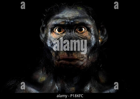 Der neandertaler Gesicht isoliert auf Schwarz Stockfoto