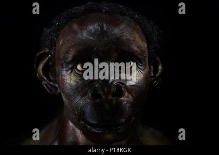 Der neandertaler Gesicht isoliert auf Schwarz Stockfoto