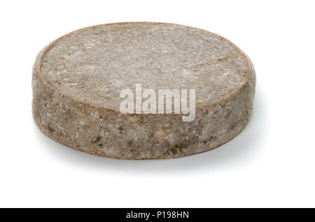 Käse aus Savoyen, "Tomme de Montagne" bergkäse Stockfoto