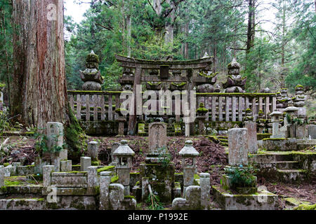 Stein Denkmäler, Grabsteine und Mausoleum in Okunoin buddhistischen Friedhof in Koyasan, Japan. Stockfoto