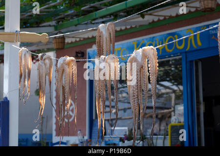 Octopus trocknen auf Linie außerhalb der Taverne auf die Insel Telendos, Kalymnos, Dodekanes, Griechenland. Stockfoto