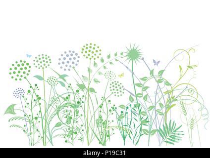 Gräser, Kräuter, Pflanzen, Abbildung Stock Vektor