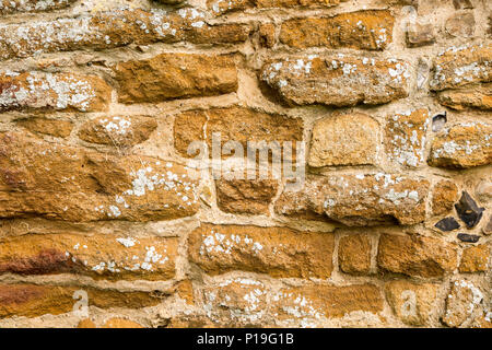 Corraline crag Stein rock im Gebäude des Dorfes Pfarrkirche verwendet, St. Johannes der Täufer, Butley, Suffolk, England, Großbritannien Stockfoto