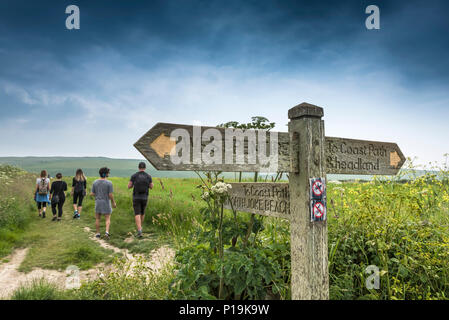 Eine hölzerne Wegweiser mit Wegbeschreibungen in der Landschaft in Newquay in Cornwall. Stockfoto