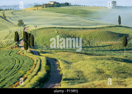 Die Schönheit der Val d'Orcia in der Toskana, Italien Stockfoto