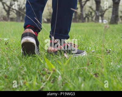 In der Nähe der Beine des Menschen in der stilvollen Sneakers auf grünem Gras Stockfoto