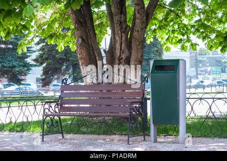 Sitzbank mit Stadt Mülleimer im städtischen Park unter den blühenden Kastanie auf sonnigen Tag. Stockfoto