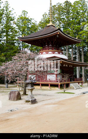 Toto Tempel Heiligtum auf dem Gelände des Dai Garan, Kongobu-ji-Tempel Komplex, Koyasan, Japan. Stockfoto