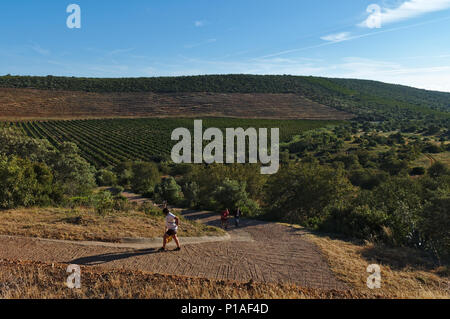 Straße nach Queda Vigario Wasserfall in Alte tun. Algarve, Portugal Stockfoto