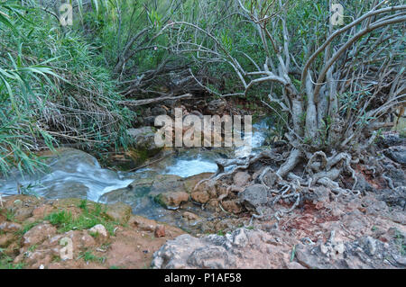 Queda do Vigario Wasserfall in Alte. Algarve, Portugal Stockfoto