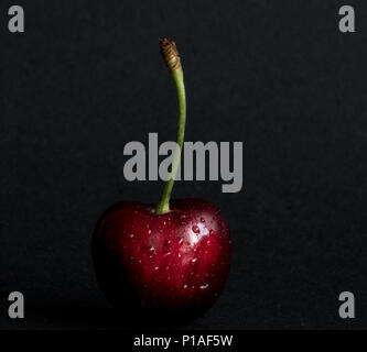 Single Cherry auf schwarzem Hintergrund Stockfoto