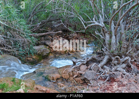 Queda do Vigario Wasserfall in Alte. Algarve, Portugal Stockfoto