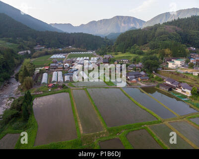 Luftbild des kleinen japanischen Landwirtschaft Stadt neben frisch gepflanzten überfluteten Reisfeldern Stockfoto