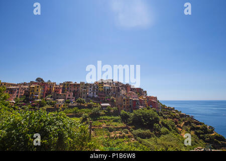 Blick auf Corniglia Dorf. Cinque Terre, Ligurien, Italien Stockfoto