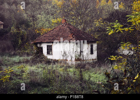 19. Jahrhundert altes Haus in den Wald aus Ton Fliesen, Ziegel und Schlamm. Aufgegeben. Keine lebenden Eigentümer. Letzte Besitzer starb im Jahre 1963. Stockfoto