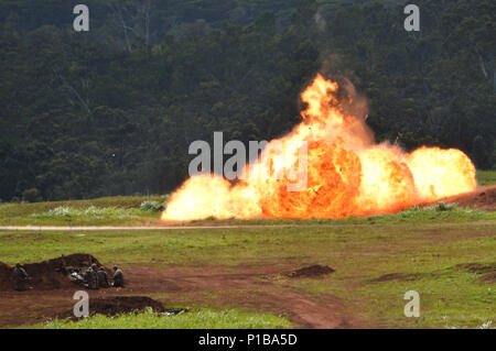 Soldaten zugeordnet zu Unternehmen A, 29 Brigade Engineer Battalion, 3. Brigade Combat Team, 25 Infanterie Division, zerstören simulierten feindlichen Waffen und Material in der Schlacht Komplex (BAX) auf Schofield Kasernen, Hawaii, am 6 Okt., 2016. Die Soldaten als Teil der Task Force Kakteen nahmen die live fire Funktionen ausüben (CAPEX) am Ende von Tropic Lightning Woche. (U.S. Armee Foto: Staff Sgt. Armando R. Limon, 3. Brigade Combat Team, 25 Infanterie Division). Stockfoto