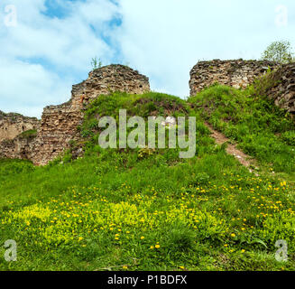 Frühling Löwenzahn glade in Jazlovets Burgruinen, buchach Bezirk, Ternopil, Ukraine. Es war vom 14. bis zum 17. Jahrhundert gebaut. Stockfoto