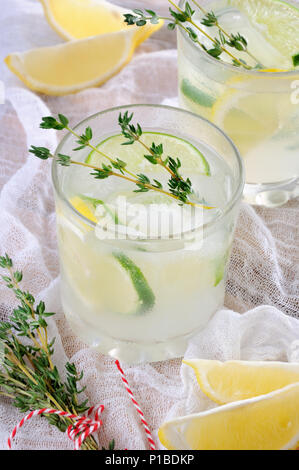 Cocktail auf der Basis von Gin, Zitronensaft oder Limettensaft und Noten von Thymian. Sie sich mit einem erfrischenden Cocktail an einem sommerlichen Tag verwöhnen. Stockfoto