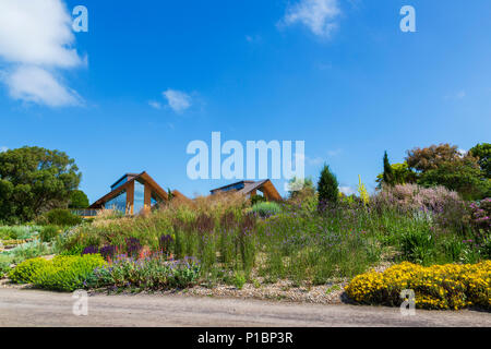 Trockene Gärten an der RHS Hyde Hall in Essex renommierte an einem hellen, sonnigen Sommermorgen. Dieser Teil des Gartens einmal gepflanzt wird sich selbst überlassen Stockfoto