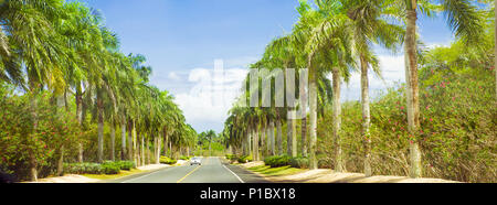 Lange Straße, gesäumt mit Palmen und blauem Himmel Stockfoto