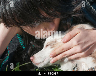 Eine junge Frau und ihr Hund. Stockfoto