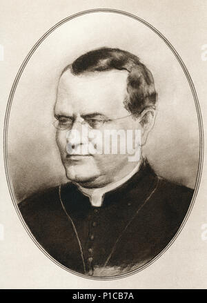 Gregor Johann Mendel, 1822-1884. Wissenschaftler, Augustiner Mönch und Abt von St. Thomas' Abtei in Brünn, Markgrafschaft Mähren. Abbildung von Gordon Ross, US-amerikanischer Künstler und Illustrator (1873-1946), von lebenden Biographien von großen Wissenschaftlern. Stockfoto