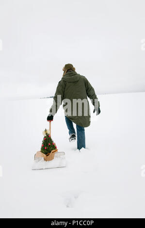 Eine Person fotografiert von hinten Ziehen einer Rosemary Bush, sitzen auf einer Schneeschaufel ist durch den Schnee in eine winterliche Landschaft. Stockfoto