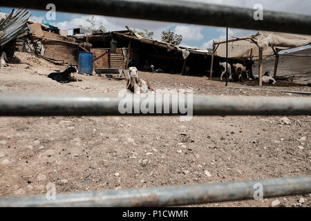 Westjordanland, Israel. 12 Juni, 2018. Der israelische Oberste Gerichtshof,, 24. Mai 2018, gegen eine einstweilige Verfügung der Beduinischen Gemeinschaft von Khan Al Ahmar Abu Al Helu, der Weg für die israelischen Abriss der illegalen Außenposten und alle gemeinschaftlichen Strukturen einschließlich einer Schule. 181 Bewohner der Jahalin Stammes aufhalten, wenige Kilometer östlich von Jerusalem stellen eine unmittelbare Gefahr eines gewaltsamen übertragen. ich Zivil- und Sicherheitskontrolle. Credit: Nir Alon/Alamy leben Nachrichten Stockfoto