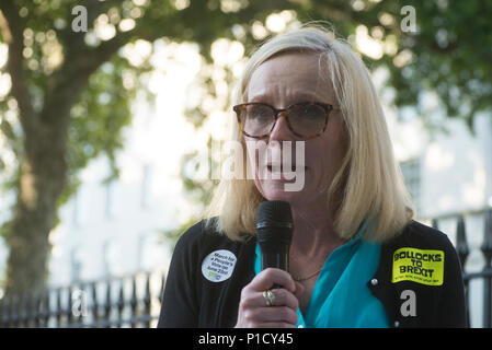 London, Großbritannien. 11. Juni 2018 - London - Liz Webster (wer bringt die rechtliche Herausforderung) sprechen an der Zugstrebe des Querstabilisators brexit Protest organisiert durch Stop Brexit Ltd, Nr. 10 Vigil, EU-Flagge Mafia und SODEM. Der Protest ist der Artikel 50 Herausforderung, kommt am 12. Juni 2018, in der vorgeschlagen wird, dass die Berufung auf Artikel 50 der EU war illegal zu verlassen, weil die Entscheidung, die EU zu verlassen nie vom Parlament verabschiedet wurde, zu unterstützen. Dieser Teil der Protest ist gegenüber der Downing Street, London von Richmond Terrasse. Weitere Informationen von Rachel@stopbrexitmarch.com # Nr. 10 Mahnwache#remainathon. Quelle: Bruce Tanner Stockfoto