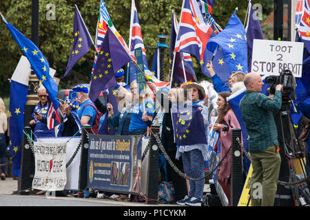 London, Großbritannien. 12 Juni, 2018. Pro-EU-Aktivisten gegenüber Parlament am Tag der House of Commons Abstimmung über die vom House of Lords in die EU Rückzug Bill vorgeschlagenen demonstrieren. Credit: Mark Kerrison/Alamy leben Nachrichten Stockfoto